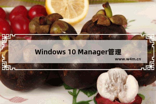 Windows 10 Manager管理启动程序的方法