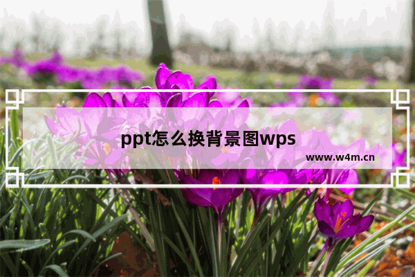 ppt怎么换背景图wps