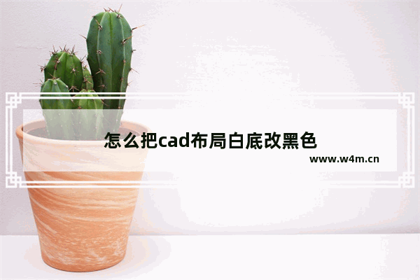 怎么把cad布局白底改黑色