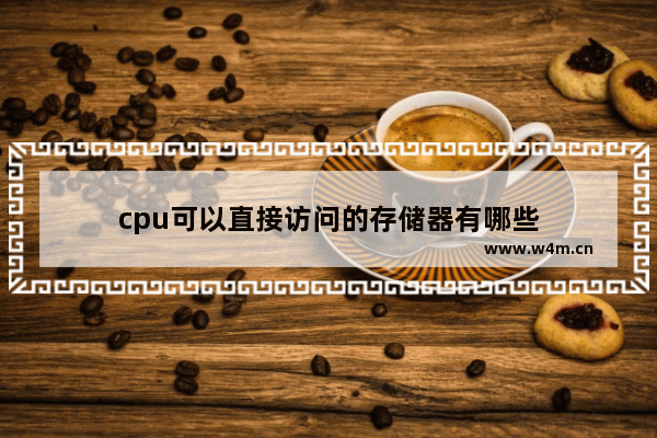 cpu可以直接访问的存储器有哪些