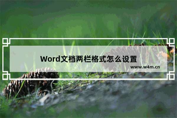 Word文档两栏格式怎么设置