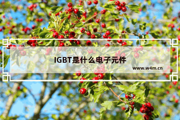 IGBT是什么电子元件