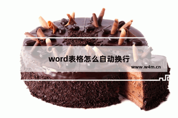 word表格怎么自动换行