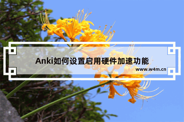 Anki如何设置启用硬件加速功能