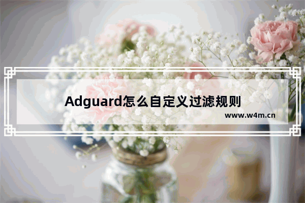 Adguard怎么自定义过滤规则