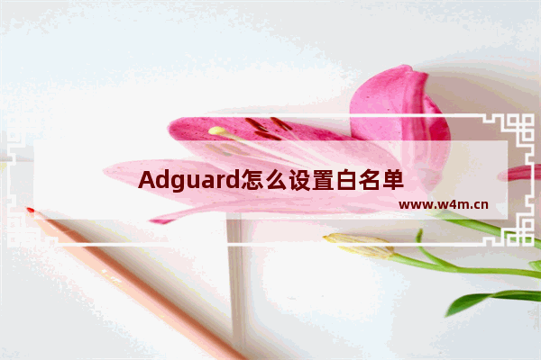 Adguard怎么设置白名单