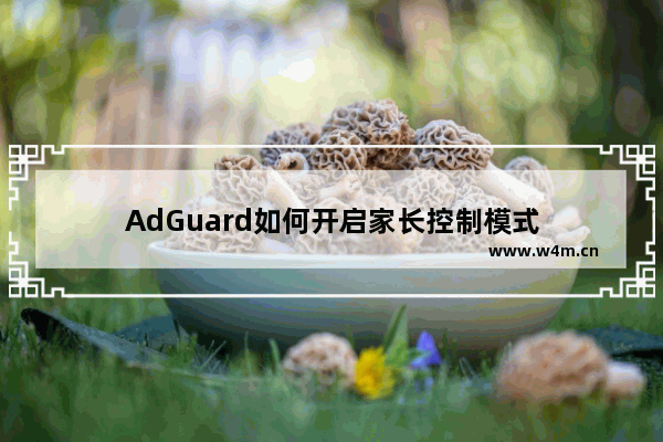 AdGuard如何开启家长控制模式