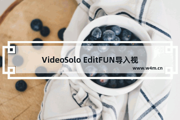 VideoSolo EditFUN导入视频的方法