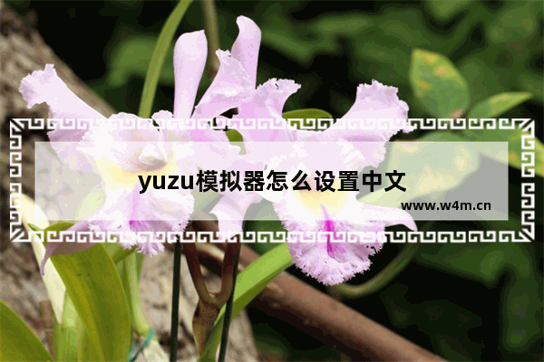 yuzu模拟器怎么设置中文