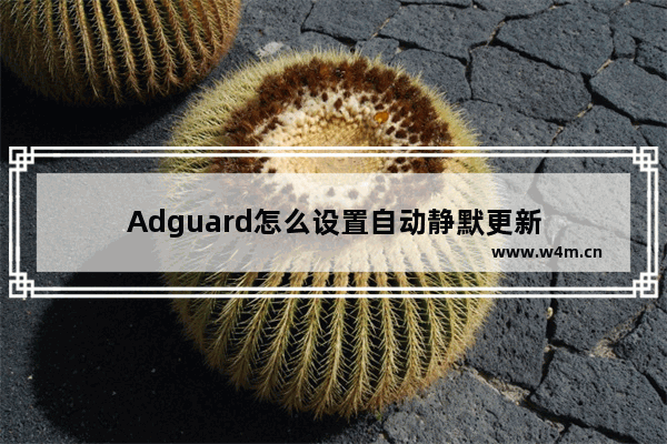 Adguard怎么设置自动静默更新