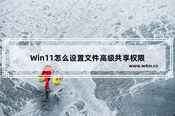 Win11怎么设置文件高级共享权限