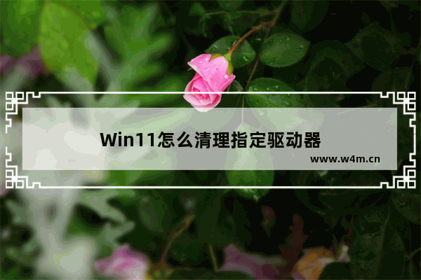 Win11怎么清理指定驱动器