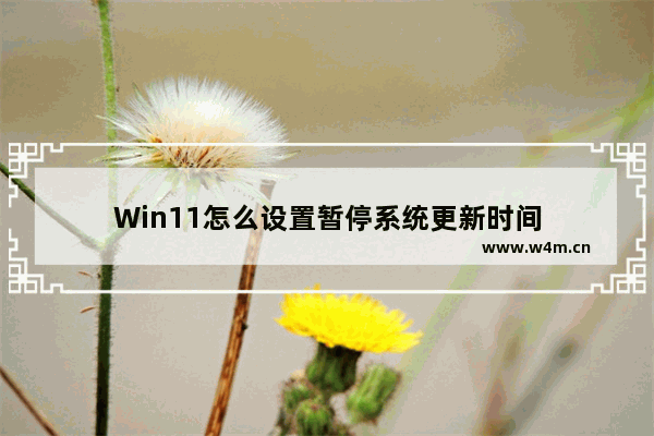 Win11怎么设置暂停系统更新时间