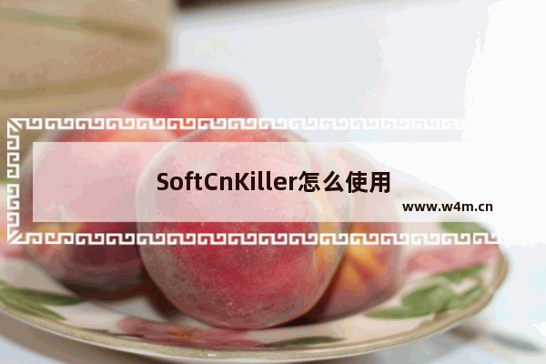 SoftCnKiller怎么使用