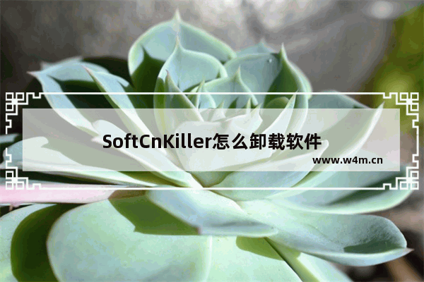 SoftCnKiller怎么卸载软件