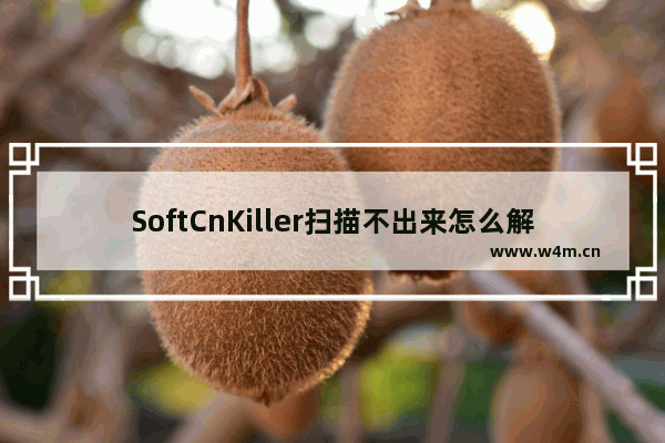 SoftCnKiller扫描不出来怎么解决