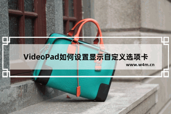 VideoPad如何设置显示自定义选项卡