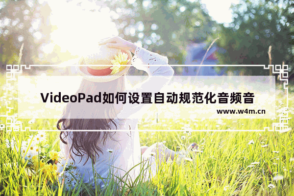 VideoPad如何设置自动规范化音频音量