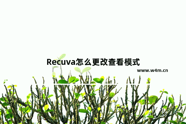 Recuva怎么更改查看模式