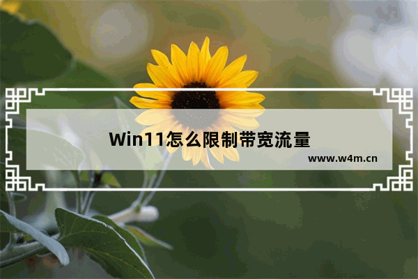 Win11怎么限制带宽流量