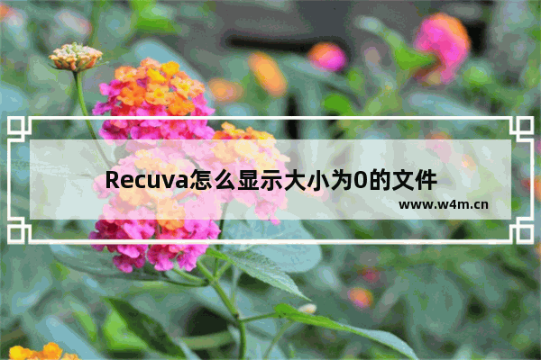 Recuva怎么显示大小为0的文件