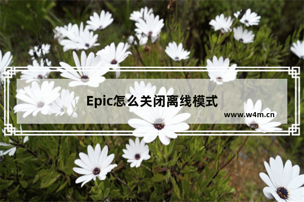 Epic怎么关闭离线模式