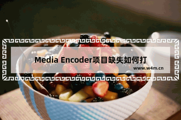 Media Encoder项目缺失如何打开