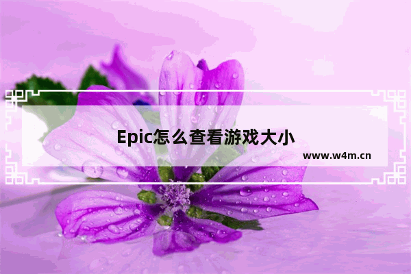 Epic怎么查看游戏大小