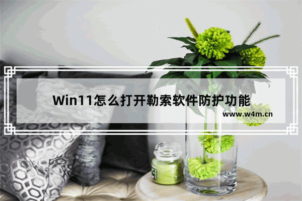 Win11怎么打开勒索软件防护功能