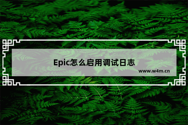 Epic怎么启用调试日志