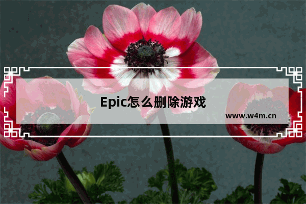 Epic怎么删除游戏