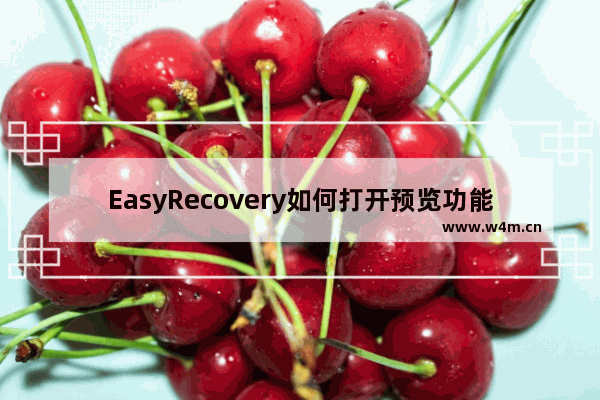 EasyRecovery如何打开预览功能