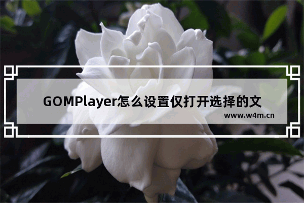 GOMPlayer怎么设置仅打开选择的文件