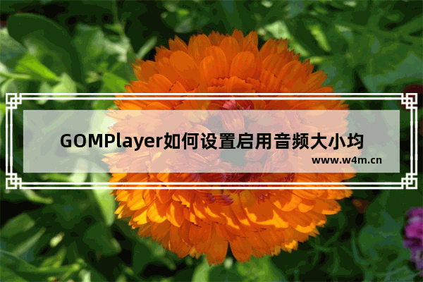 GOMPlayer如何设置启用音频大小均衡优化功能