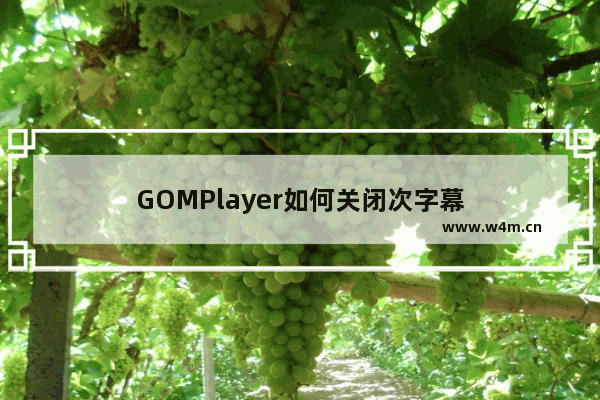 GOMPlayer如何关闭次字幕