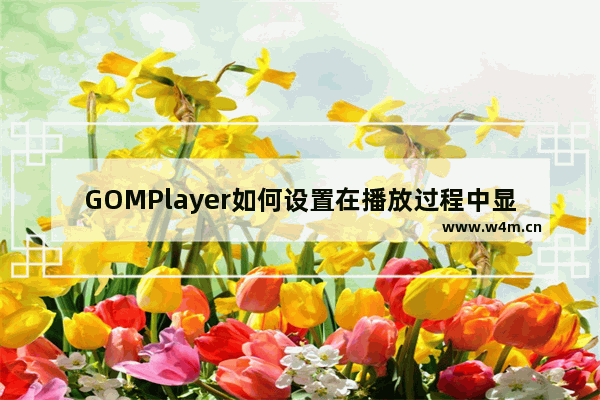 GOMPlayer如何设置在播放过程中显示鼠标