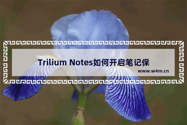 Trilium Notes如何开启笔记保护功能