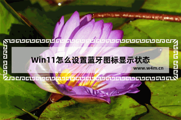 Win11怎么设置蓝牙图标显示状态