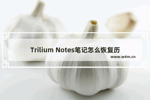 Trilium Notes笔记怎么恢复历史版本