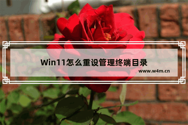 Win11怎么重设管理终端目录