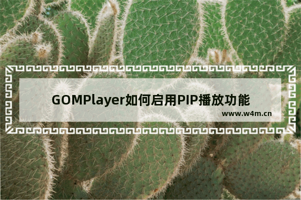 GOMPlayer如何启用PIP播放功能