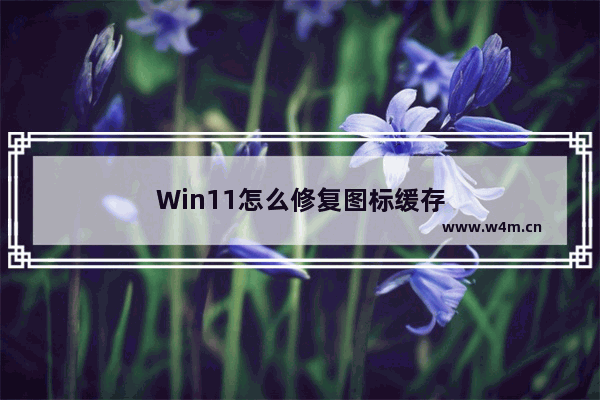 Win11怎么修复图标缓存