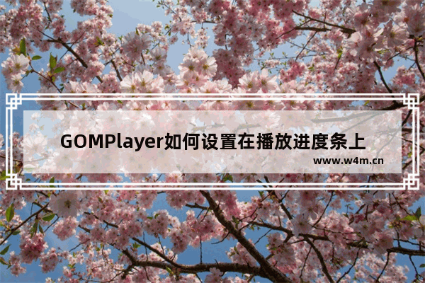 GOMPlayer如何设置在播放进度条上显示章节标志