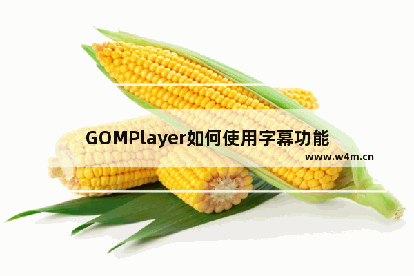 GOMPlayer如何使用字幕功能