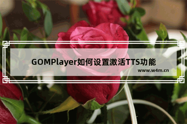 GOMPlayer如何设置激活TTS功能后用声音提示