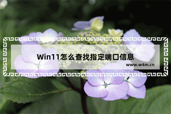 Win11怎么查找指定端口信息