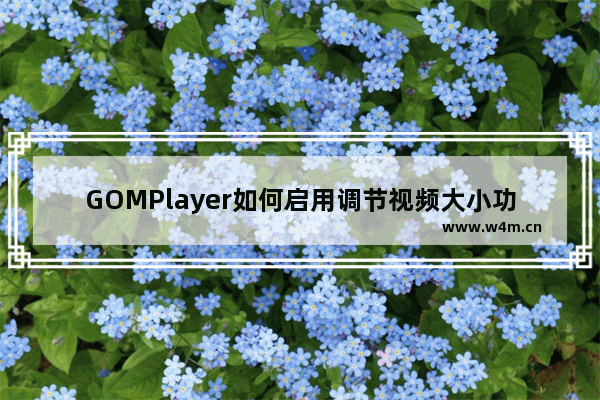 GOMPlayer如何启用调节视频大小功能