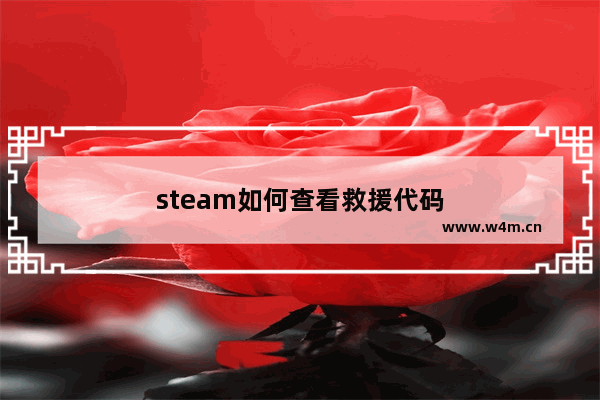 steam如何查看救援代码