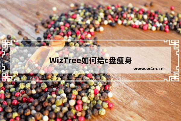 WizTree如何给c盘瘦身