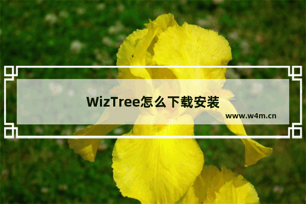 WizTree怎么下载安装